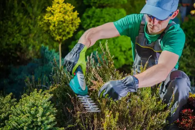 landscaping services Locust Valley
